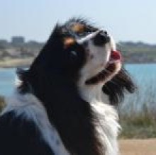 BooGheR's avatar