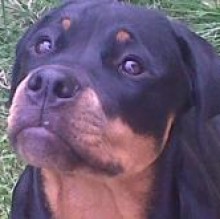Avatar de victoria belotti