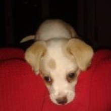Avatar de Nicole Gaeta