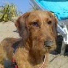 JackDelTocai's avatar
