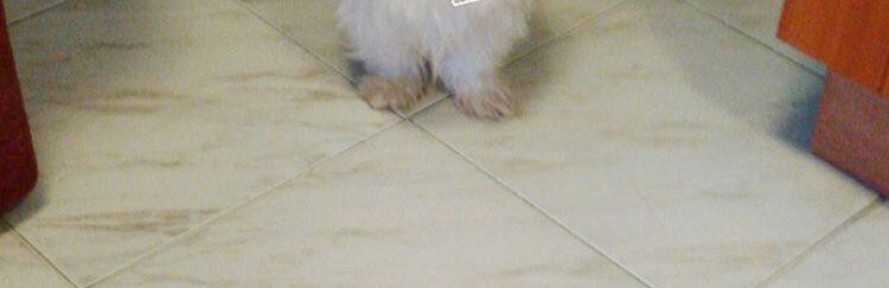 Martina Lombardo's cover