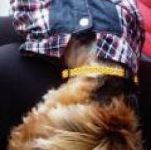 Pisilly's avatar