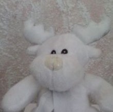 Immagine del profilo di Sam Brown