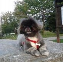 maryterry's avatar