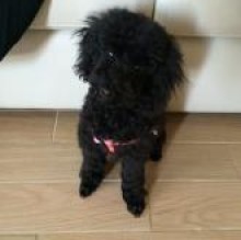 Avatar de Zoe Delfini