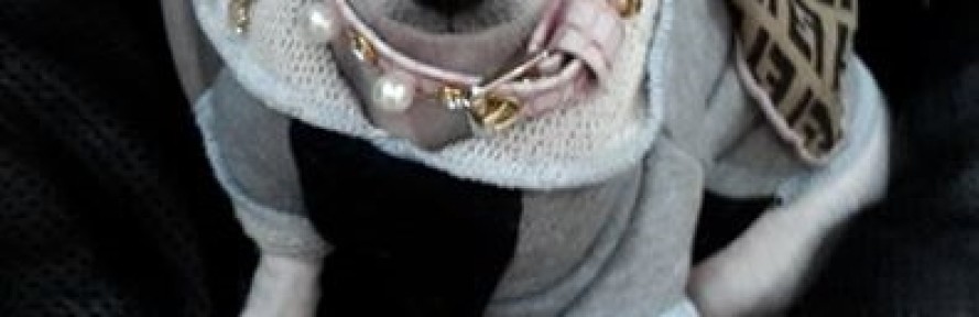 Luisa Zanella's cover