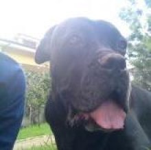 Avatar de Zoe Rinaldi