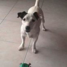 Avatar de Noemi Pepe