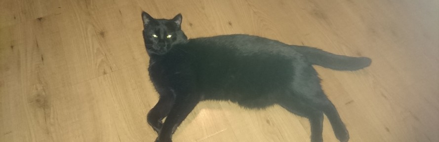 Cover di Henry  Kater 