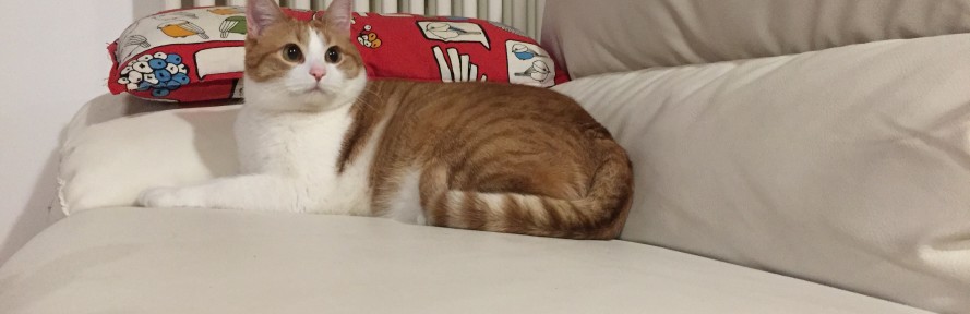 Giorgia Marazzato's cover