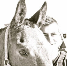 Vincenzo Orlando's avatar