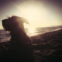 Avatar de Carlotta Tosi