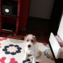 Trilly Messina's Avatar