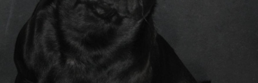Carletto's couverture
