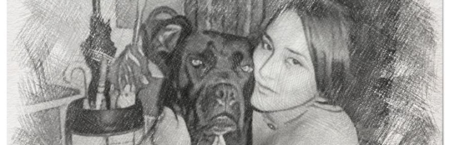 luna donadio's cover