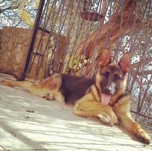 Chanelcip's Avatar