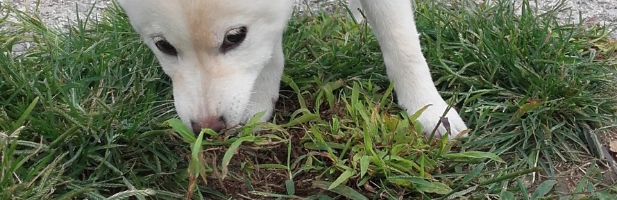 Sofi_degre's couverture