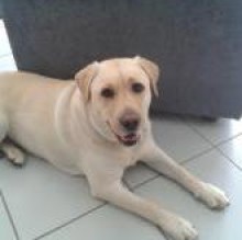 Avatar de maggie2395