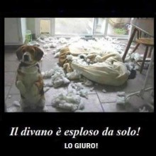 Avatar de giovanna di marco