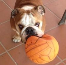 Molly Colori's Avatar