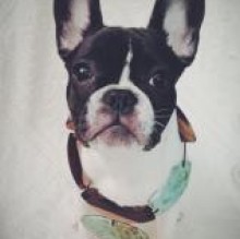 Avatar de Eva Ricci