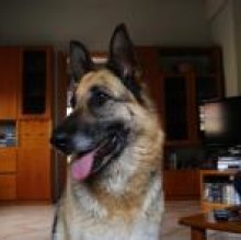 Smilla rainoldi's avatar