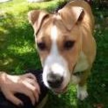 nala calcaprina's Avatar