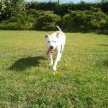 lola canu's avatar