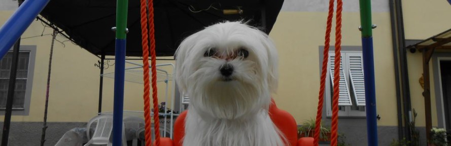 PennyFaby's cover