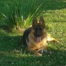 Avatar de sasha