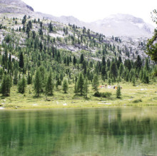 costanza danielli's avatar