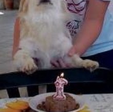 Avatar de White Nardi