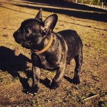 Nerone992's avatar