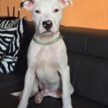Adam Amstaff's avatar