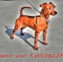 Immagine del profilo di Jasminvonkosslbachtal Lunghi