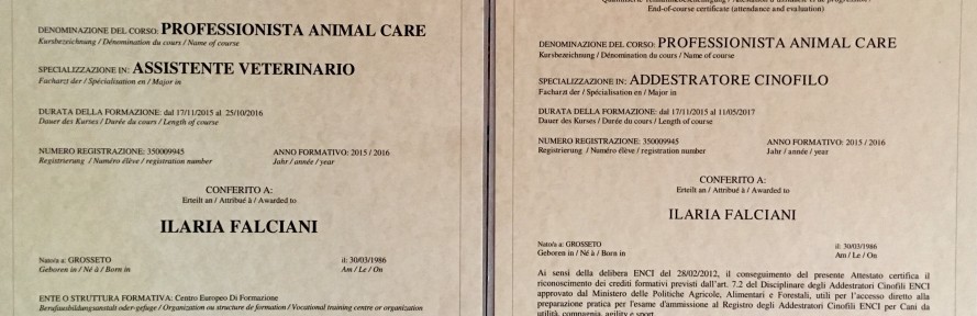 Iaia Falciani's couverture