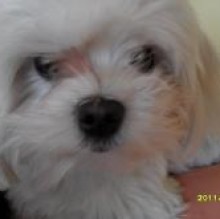 manuqual's avatar