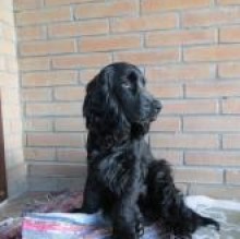 Avatar de tecla