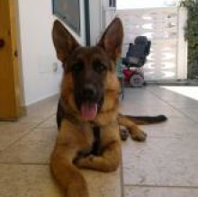 Avatar de Zeus giacomo