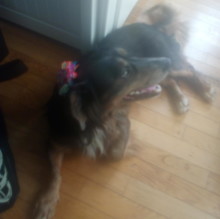 Giulia Drovandi's avatar