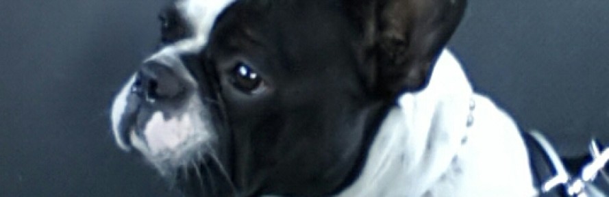 Whisky P's cover