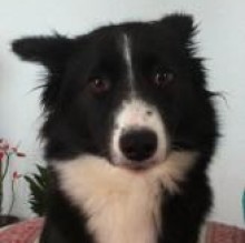 Avatar de Mya Arancio
