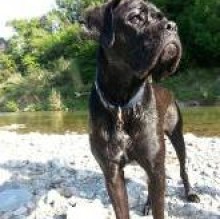 Avatar de Boogie Buntin