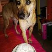 Avatar de Moky Piffaretti