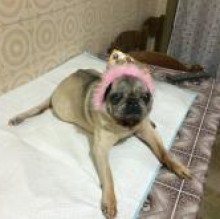 Avatar de Giulia Rizzo