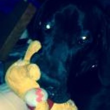 Avatar de Zeus Pochintesta