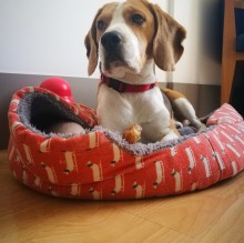 Immagine del profilo di Jason