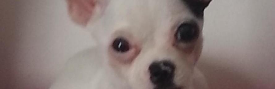 Lul MonicaMorandi's cover