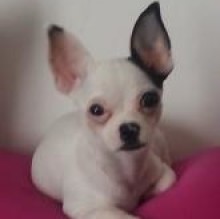 Avatar de Lul MonicaMorandi