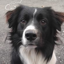 Avatar de Ettore2013